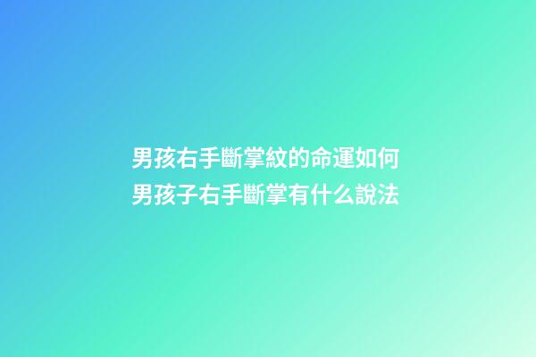 男孩右手斷掌紋的命運如何 男孩子右手斷掌有什么說法-第1張-觀點-玄機派